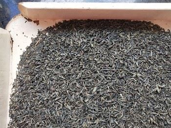 Tea 41022 The Vert De Chine Special Garde Chunmee